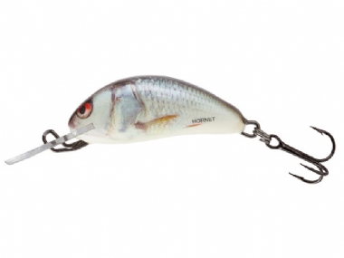 REAL DACE